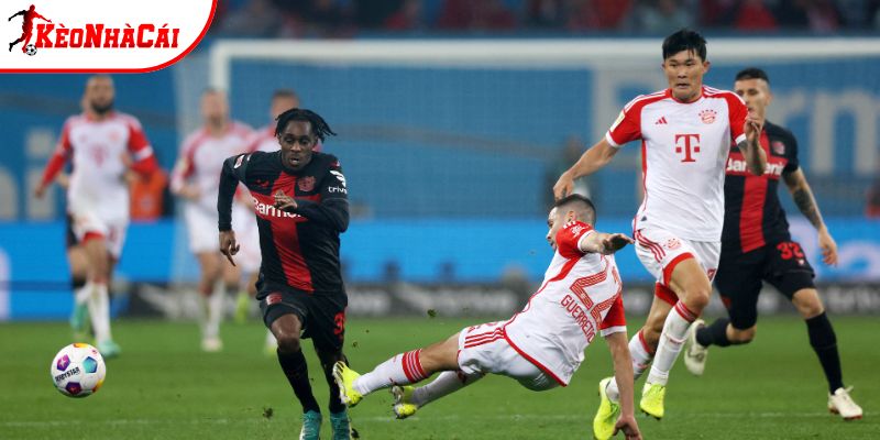 Thành tích so tài giữa Bayer Leverkusen vs Bayern Munich Thành tích so tài giữa Bayer Leverkusen vs Bayern Munich